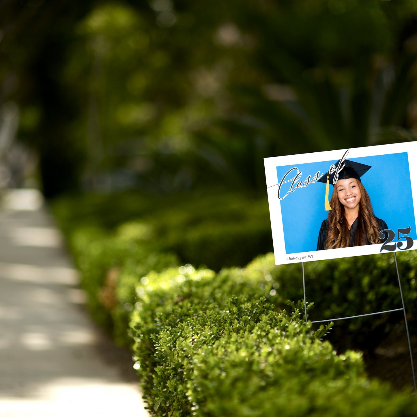 Custom Yard Signs