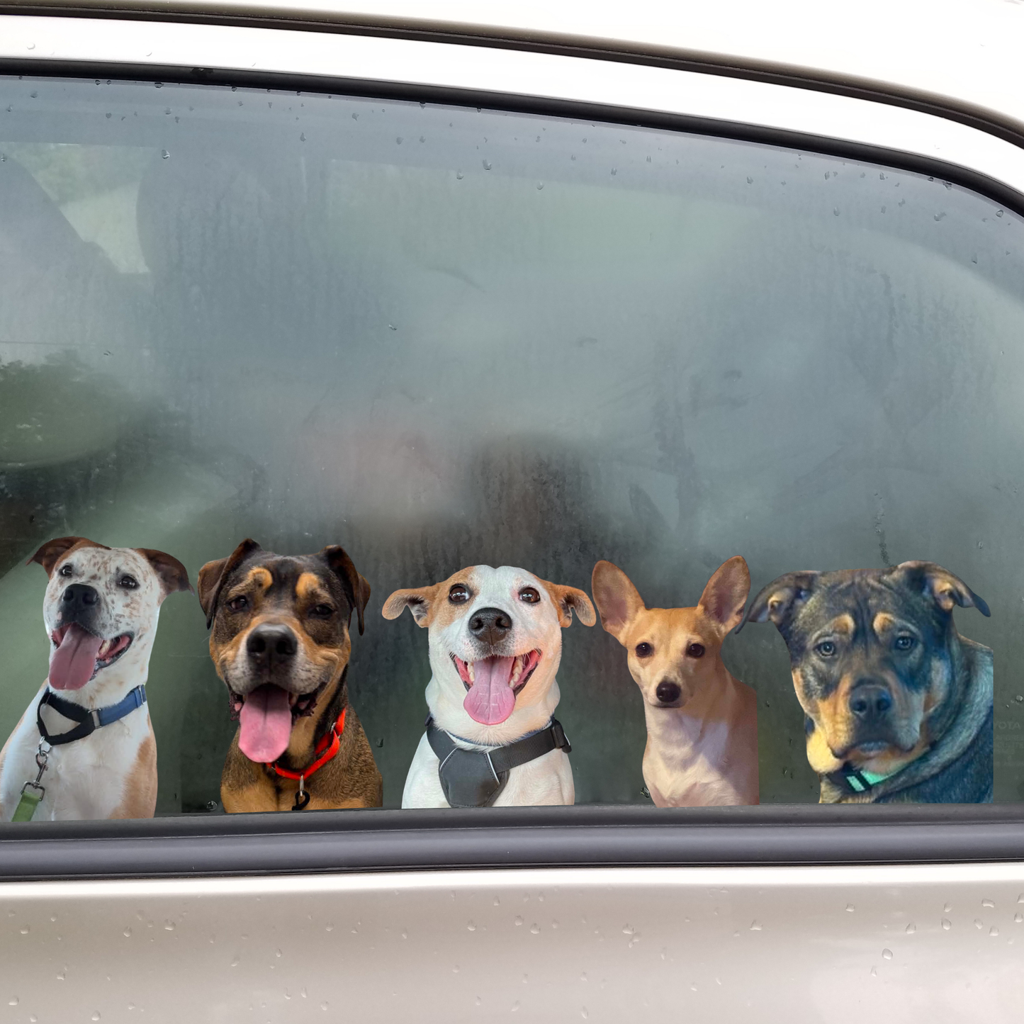 Custom Small Decals For Cars, Laptops, Windows