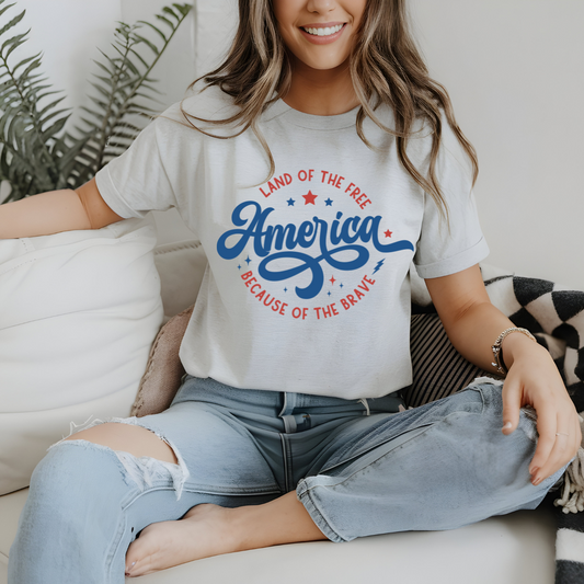 America- Land Of The Free Because Of The Brave
